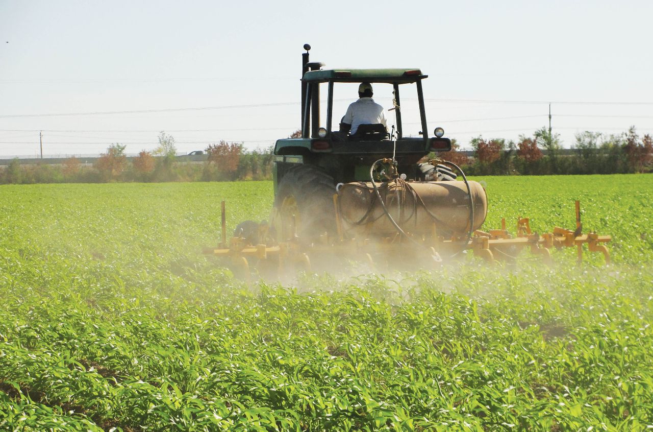 fertilizantes
