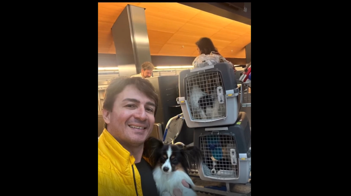 Aerolínea pierde a cuatro perritos de un pasajero y esta fue la reacción del hombre (+Video)