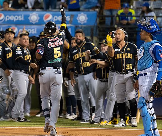 Leones Magallanes
