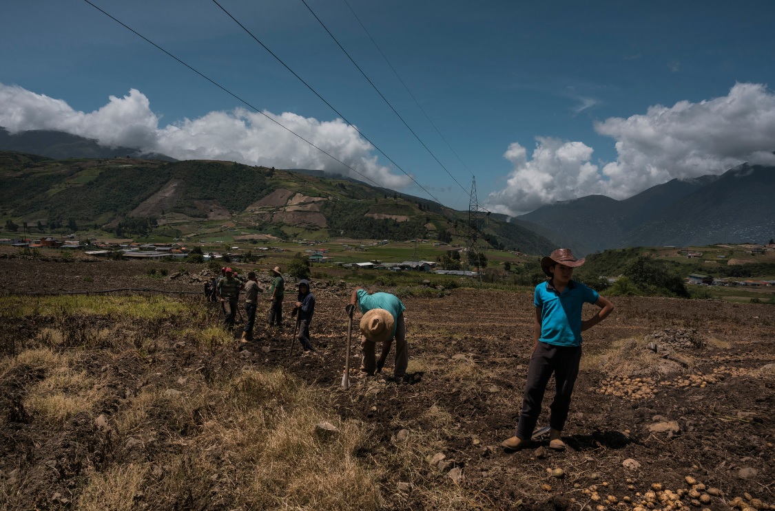 producción agrícola