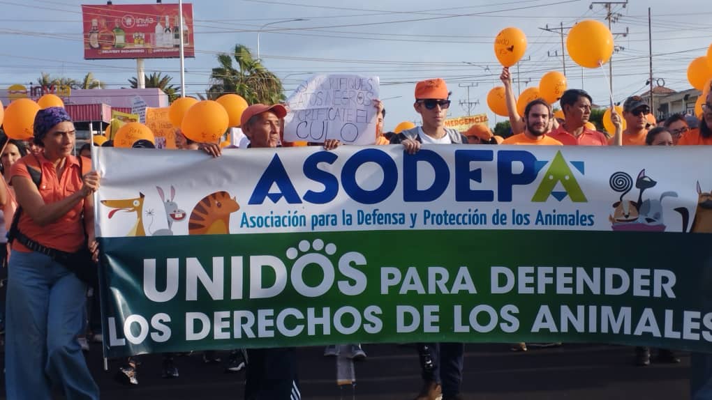 Marabinos marcharon en favor de la protección animal