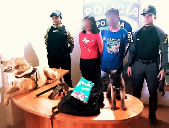 Robaron celulares dentro de un autobús y los detuvieron