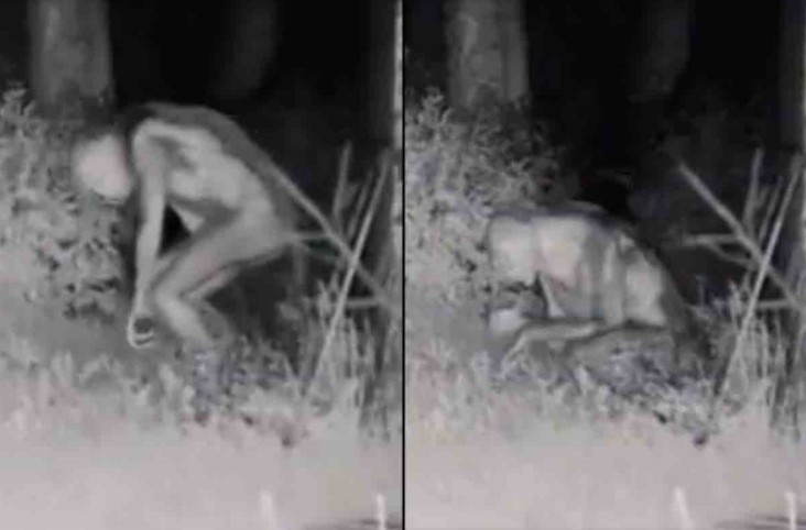 video extraterrestre