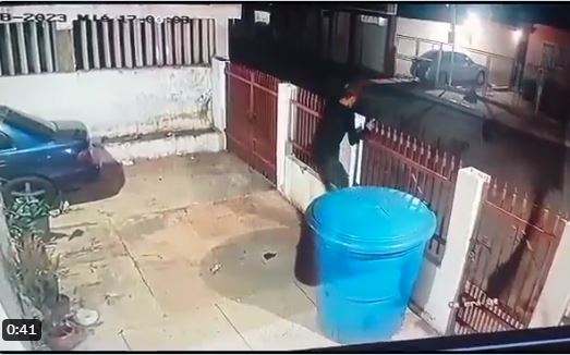 Lealtad: Perros frustraron robo de su vivienda en Maracaibo (+Video)