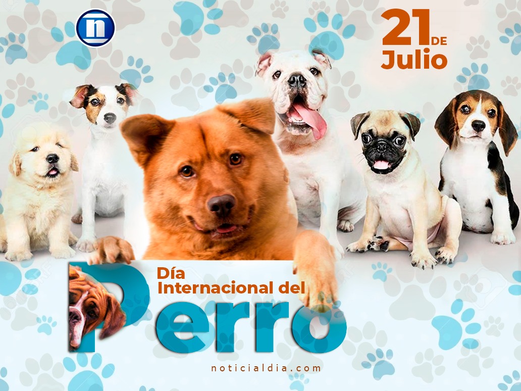 Hoy es día internacional del 