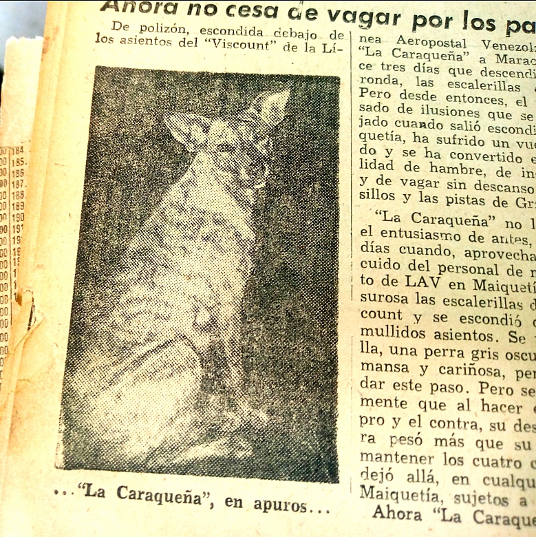 ¿Conoces la historia de La caraqueña?