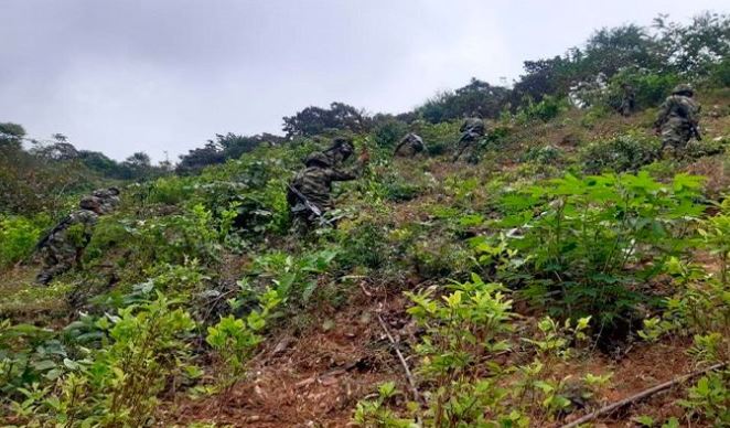 Fallece mujer tras pisar una mina antipersonal en Colombia