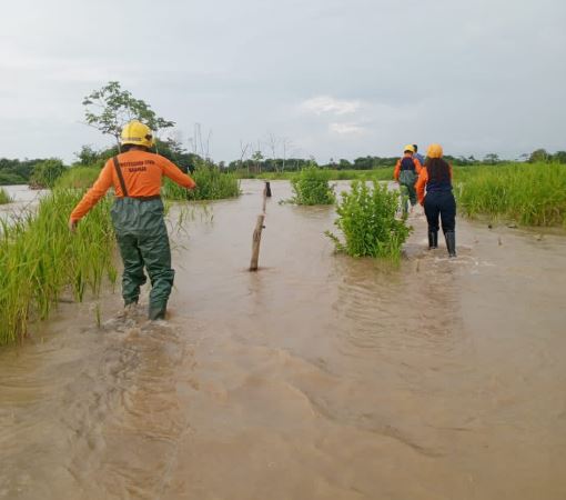 Al menos 20 casa afectadas en Barinas