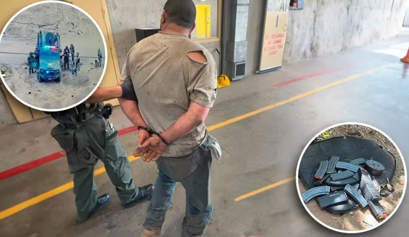 Hombre masacró 81 animales en una noche