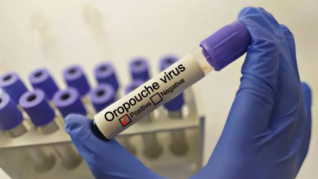 Venezuela confirma detección de los primeros casos del virus Oropouche en el país