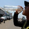 Bebidas refrescantes 