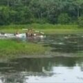 Un fallecido tras desplomarse helicóptero de la Armada en Colombia