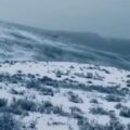 La hermosa nevada que se registró en los páramos del estado Mérida