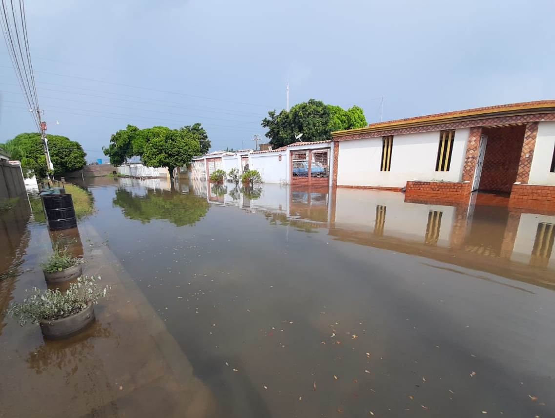 Brote de aguas blancas tiene más de un año anegando las calles de la Urb. Los Naranjos en Maracaibo