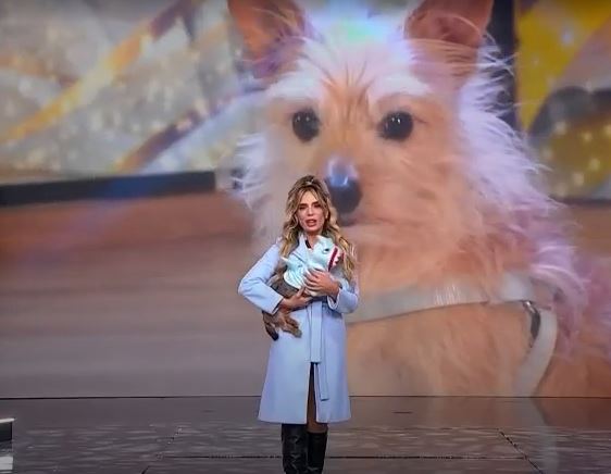 Joseline Rodríguez ganó la Inmunidad en Miss Universe Latina, El Reality por su mensaje para la adopción de perritos