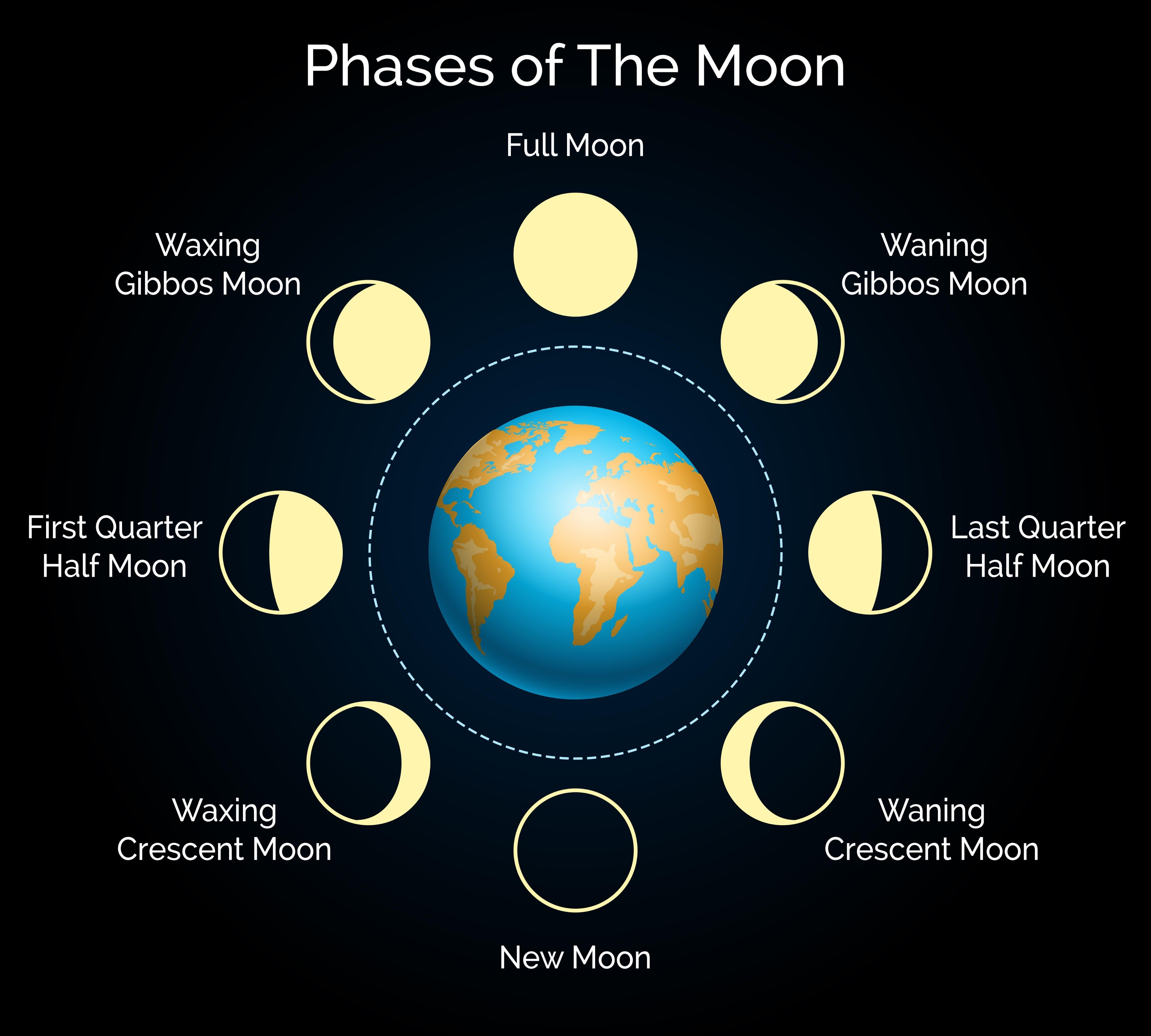 ¿Dónde se esconde la luna para que no la veamos de día?