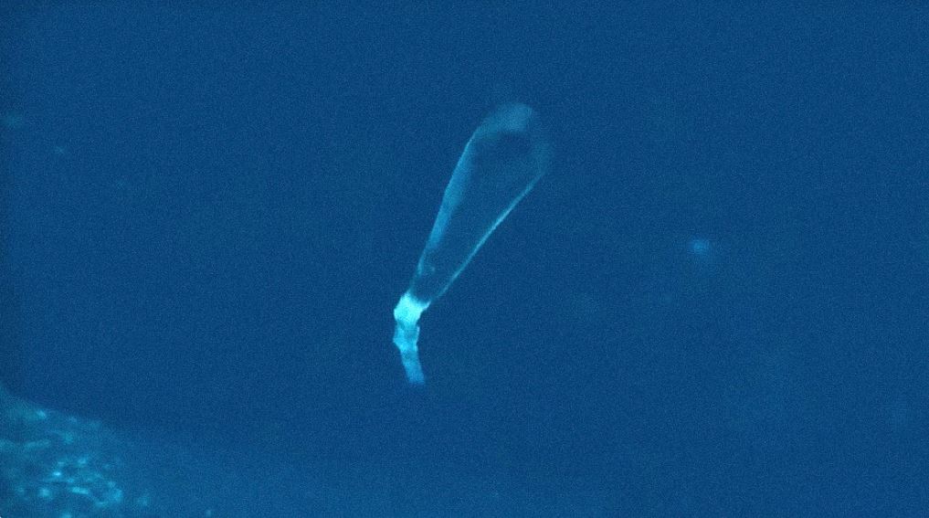 Rusia prueba el complejo submarino Poseidón y muestra su bombardero supersónico cisne blanco