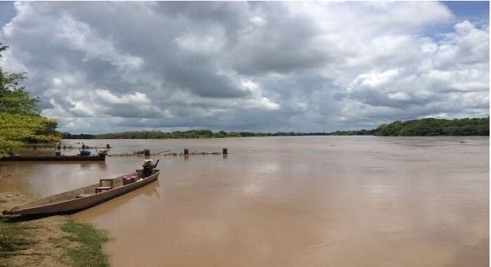 Prohibieron la pesca en el río Apure: Reportan mortandad masiva de peces en el afluente mientras investigan las causas