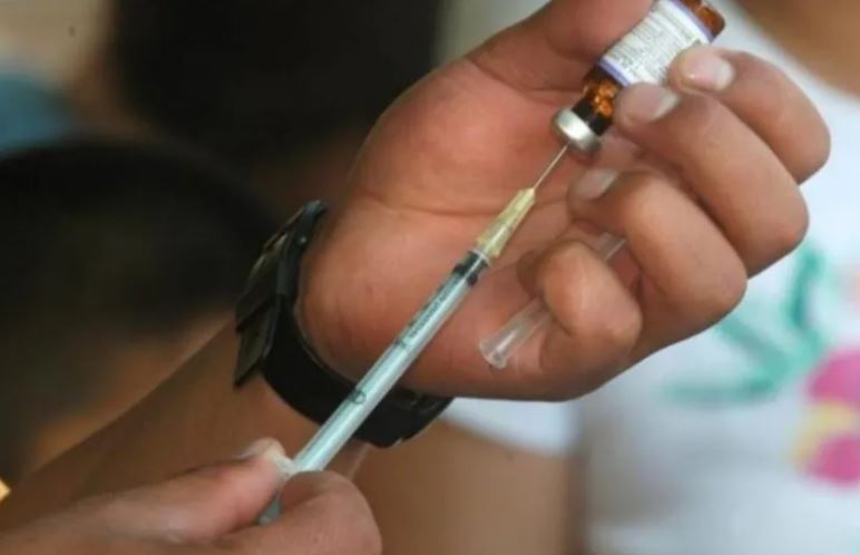 Confirman 21 fallecidos por Fiebre amarilla: Venezuela retoma publicación del Boletín Epidemiológico tras una década sin datos