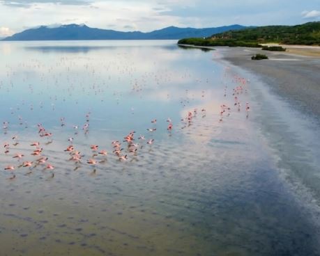 La Laguna de Unare fue nominada por World Travel Awards 2026, como destino verde líder de Sudamérica