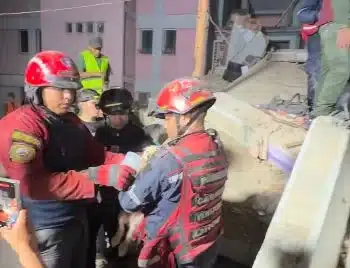 rescata un perrito