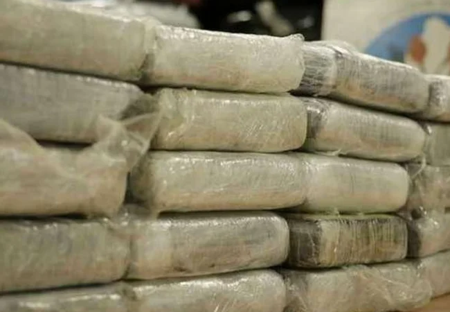 GNB incautó 430 kilos de drogas en Mérida
