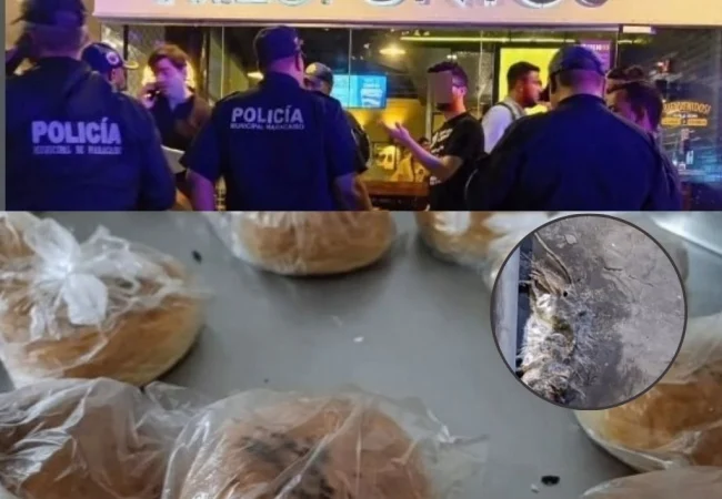 Clausuran por 72 horas restaurante en Olegario Villalobos por presencia de roedores y fallas permisivas
