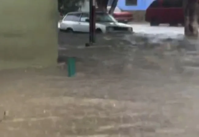 Intensas lluvias provocaron anegaciones y caída de árboles en el municipio Sucre de Aragua