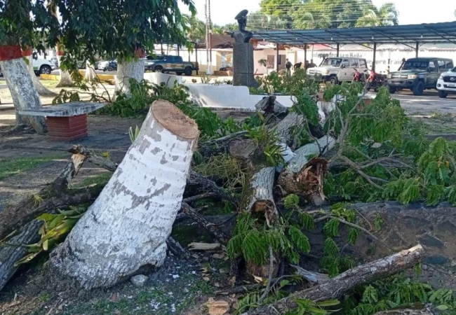 Un trabajador de Corpoelec fallece electrocutado mientras realizaba labores de mantenimiento en Delta Amacuro