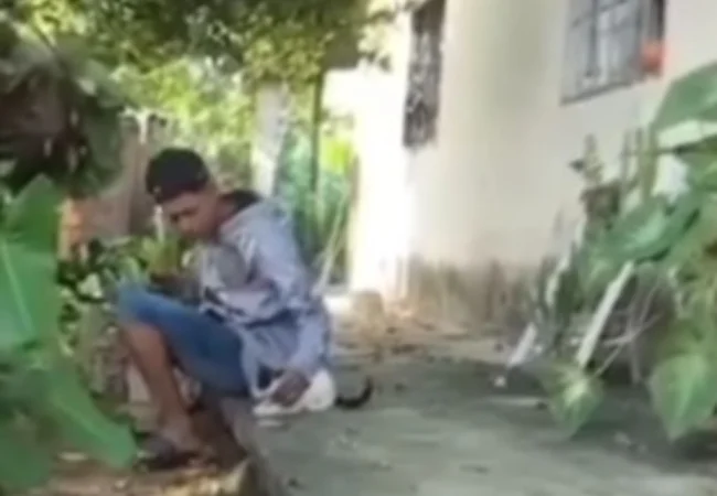 Exigen justicia en Catatumbo tras viralizarse video de un joven maltratando brutalmente a un gato